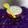 Sonal Karia's cooksnap of when they made ખીર (Kheer Recipe In Gujarati).