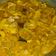 Cooksnap dari widya untuk resep Gulai nangka padang (#pr_recookmasakanpedas)