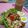 Cooksnap dari pipit untuk resep Quick Salad (Super Fresh, Hemat dan Enak! My Fav 💕)
