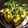 Parul Patel's cooksnap of when they made ખમણ ઢોકળા(Khaman dhokala recipe in Gujarati).