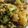 El cooksnap de Amparo&Ari cuando hizo Salteado de brocoli y coliflor.