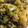 El cooksnap de Amparo&Ari cuando hizo Salteado de brocoli y coliflor.