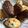 Cooksnap de Mylène sur la recette ※ Madeleines aux pépites de chocolat et coques chocolat 🍫 ※