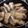 El cooksnap de Teresita Felíz cuando hizo Gyozas caseras 🥟🥟🥟🥢.
