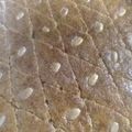 صورة من fatima recipes ، شاركها بعد تجربة وصفة هرايس