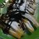 Cooksnap dari Anie Irawan untuk resep Churros Original