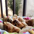 صورة من Hanan DH، شاركها بعد تجربة وصفة فطائر شهيه