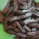 Cooksnap dari minie juanitta untuk resep Churros Buah Naga