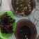 Cooksnap dari Elva Retta Andriyani untuk resep Sop Iga Sapi Bakar