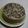 El cooksnap de Bita Llancañir Mora cuando hizo Queso de Garbanzos.