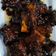 Cooksnap dari erika untuk resep Bakkut Cola/白骨可乐