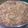 El cooksnap de ROXANA ELIZABET PERALTA cuando hizo Torta de ciruelas frescas con crumble.
