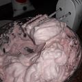 El cooksnap de rodriguezestefy cuando hizo Mousse de Frutillas.