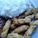 Cooksnap dari bunda Zhafira untuk resep Stik Tempe