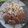 El cooksnap de Laura La Pantera Barboza cuando hizo Nuggets de pollo.