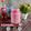 Cooksnap dari Rika's Kitchen untuk resep Es Soda Gembira