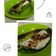 Cooksnap dari Pipit Maulana untuk resep Nasi bakar(isi ayam and teri Medan pedasss)