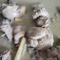 Cooksnap dari Rahma untuk resep Opor Ayam Kuah Putih, Versi Simple