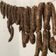 El cooksnap de Angel Abreu cuando hizo Longaniza casera Dominicana.
