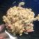 Cooksnap dari Rima Masyanah untuk resep Macaroni Mac n Cheese