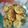 Cooksnap dari Niaaries untuk resep Pisang Nangka Goreng Wijen