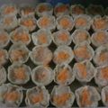 Cooksnap dari Esti Pujiningsih untuk resep Siomay ayam udang wortel