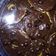 Cooksnap dari Zainab M Sirad untuk resep Donat Cookies