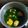 Cooksnap dari Fety Rahmati Mashithah untuk resep Sayur Bayam Bening Mudah