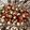 yumalicious's cooksnap of when they made Caprese Salad.