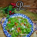 Cooksnap Hani Shaimi semasa beliau membuat Kerabu Peria Mentah Dan Mangga.