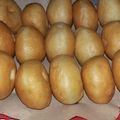 Cooksnap dari ni ketut suriasih untuk resep Donat Praktis 1x proofing dan tips menyimpan di freezer