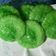 Cooksnap dari mommy'na fathan untuk resep Kue cucur pandan #pr_kuetradisionalberserat