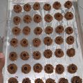 Cooksnap dari Hannanan untuk resep Semprit Coklat (Fatmah bahalwan)