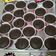 Cooksnap dari Melina Kho untuk resep Choco Chips Cupcake