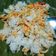 Cooksnap dari Wiwin Dwi Nurpitasari untuk resep Isi Piringku - Nasi Uduk Betawi (Rice Cooker)