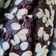 Cooksnap dari Mirah Adi untuk resep Banana choco cake/bolu pisang coklat (no mixer)