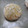 El cooksnap de zambrano cuando hizo Galletas craqueladas con chocolate blanco y limón.