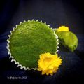 کوک اسنپ * فاطمه * بعد از امتحان کردن کاپ کیک اسفناج (Spinach cupcakes)💚.