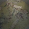 Cooksnap dari ayuwanita untuk resep Opor Ayam Kampung, Tofu, dan Telur