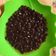 Cooksnap dari Ryah Bae untuk resep Buble Pearl Milk Tea
