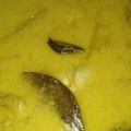 Cooksnap dari Umma hannan untuk resep Opor Ayam Fiber Creme (Non Presto)