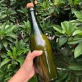 Cooksnap dari Aulia Btari Diannisa untuk resep Sirup Blimbing Wuluh
