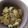 Cooksnap dari Ajeng Ratna Puspita untuk resep Tumis sawi putih bakso telur