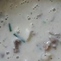 Cooksnap dari Qurrata Ayunin S untuk resep Sup Cream sapi jamur