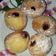 Cooksnap dari Wheny Warastri untuk resep Donat bomboloni lembut dan empuk