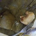 Cooksnap dari Lenny untuk resep Ombus ombus (tradisional tapanuli utara)