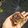 รูป Cooksnap ของ วนิษฐา เหลืออรุณ เมื่อเขาทำ ฟัดจ์บราวนี่หน้ากรอบ