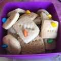 El cooksnap de Magui Guzman cuando hizo Galletas con rocklets.