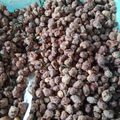 Cooksnap dari Fareeha Zahrah untuk resep Kacang disco daun jeruk