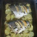 El cooksnap de Laia cuando hizo Dorada al horno.